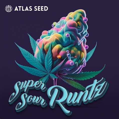 Super Sour Runtz - retail seed pack - Atlas Seed