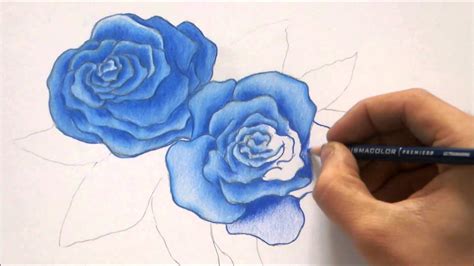 Blue Rose Drawing Easy - bmp-review