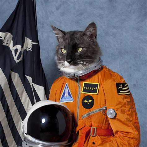 Funny Cats: First Cat In Space!