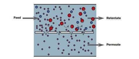 Cross flow filtration (Spx 2013) | Download Scientific Diagram