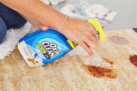 The 7 Best Carpet Spray Cleaners of 2023, Tested and Reviewed