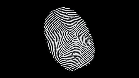 Fingerprint Wallpapers - Top Free Fingerprint Backgrounds - WallpaperAccess