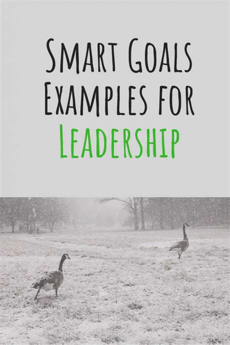 Smart Goals Examples for Leadership – Tim Lombardo