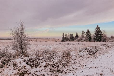 Snow in Belgium; the High Fens are the ultimate Winter Wonderland!