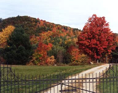 Vermont Fall Foliage