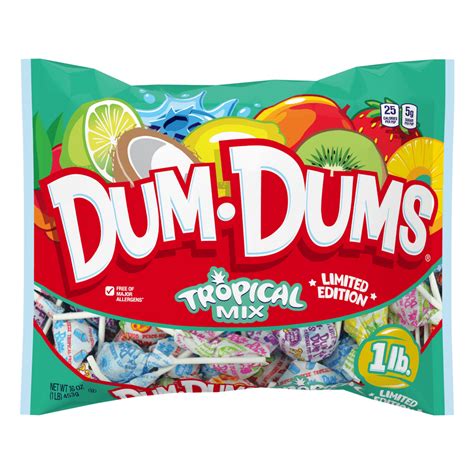 Dum Dums Limited Edition Assorted Pops, 16 Oz - Walmart.com - Walmart.com