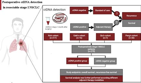 Frontiers | Postoperative ctDNA detection predicts relapse but has limited effects in guiding ...