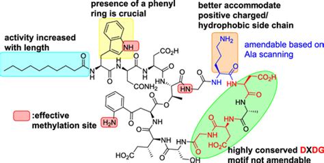 Establishing the Structure–Activity Relationship of Daptomycin | ACS ...