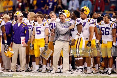 12 Bo Pelini Lsu Photos & High Res Pictures - Getty Images