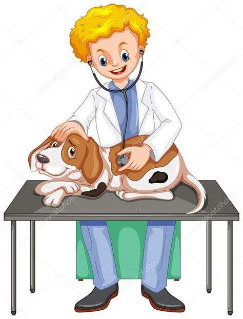 Veterinaria revisando perro con estetoscopio vector, gráfico vectorial ...