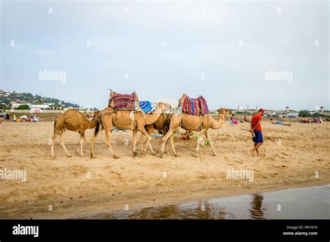 Tangier beach Stock Photo - Alamy