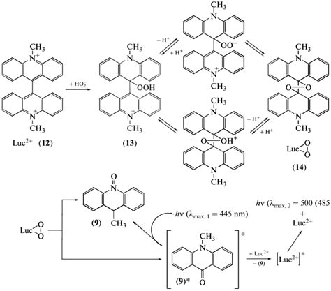 Mechanism of electrochemical generation of chemiluminescence for... | Download Scientific Diagram