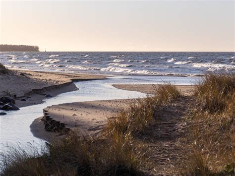 Picture of the River Flowing into the Sea Stock Photo - Image of dawn ...