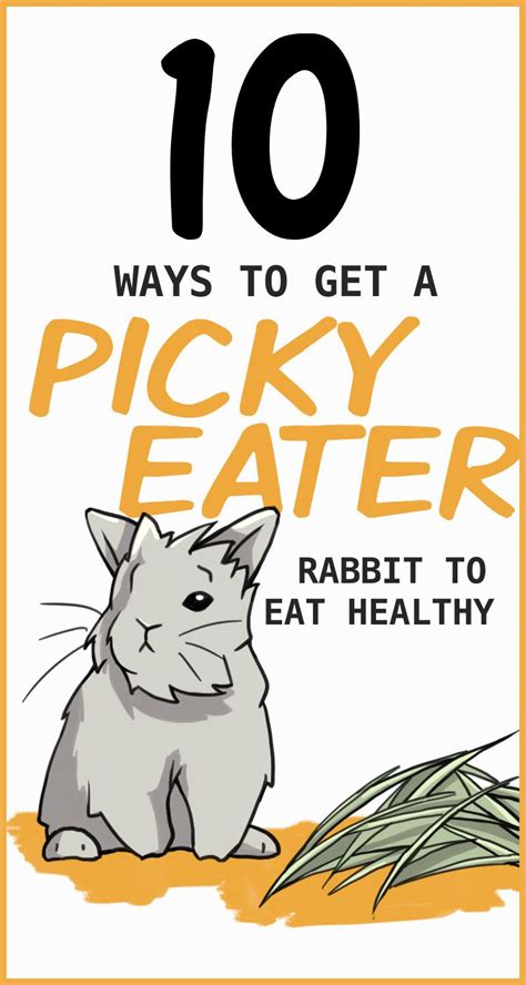 Picky Eater Rabbits: How To Get Your Rabbit To Eat Healthy | Picky eaters, Rabbit, Pet bunny rabbits