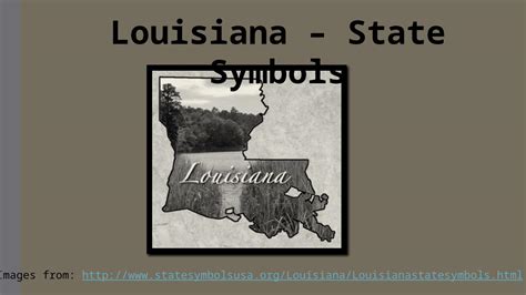 (PPTX) Louisiana – State Symbols - DOKUMEN.TIPS