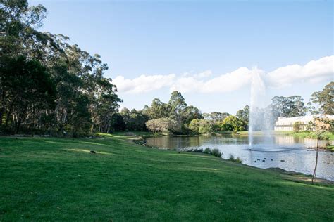 Macquarie Lake by tawunap159 on DeviantArt