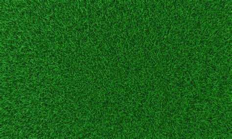 Top view Fresh green lawns for background, backdrop or wallpaper ...