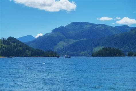 Port Alice, BC: Marvel at Wild Beauty of North Vancouver Island "Beast"