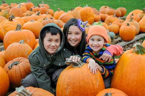 Fall Foliage, Festivals and Farms - Visit Medina County