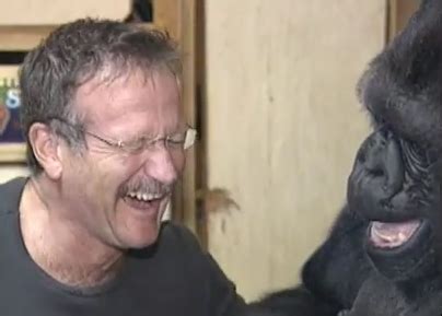 Watch Robin Williams Laugh It Up with Talking Gorilla Koko | Bloomfield, MI Patch