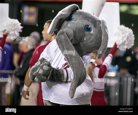 Alabama crimson tide mascot hi-res stock photography and images - Alamy