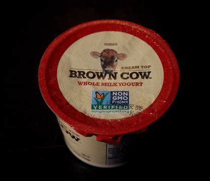 The 99 Cent Chef: Brown Cow Yogurt - Deal of the Day