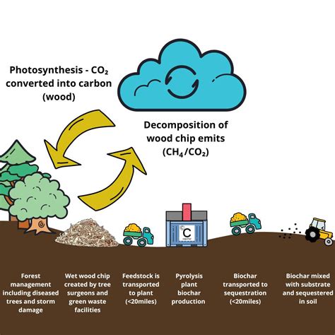 Carbon Dioxide Removal - Biochar