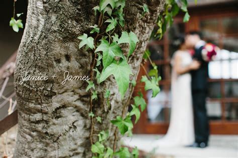 Calamigos Ranch Wedding: Janice + James - The Sanadas -California Wedding Photographers