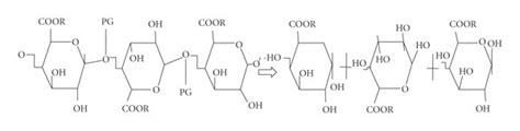 The action of polygalacturonases on polygalacturonic acid chain [13]. | Download Scientific Diagram