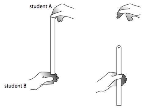 P5 V) Reaction Times – AQA Combined Science Trilogy - Elevise