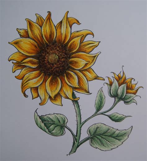 Copic Marker España: Tutorial - Girasoles