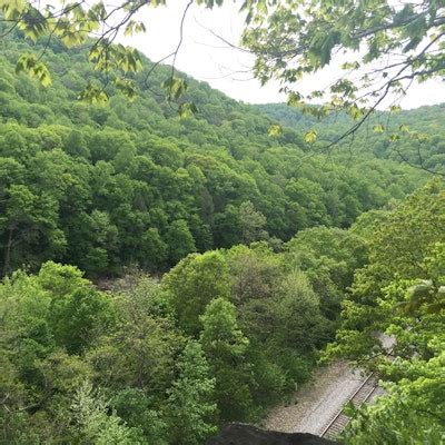 Hike the Bear Run Nature Reserve Loop, Bear Run Nature Center