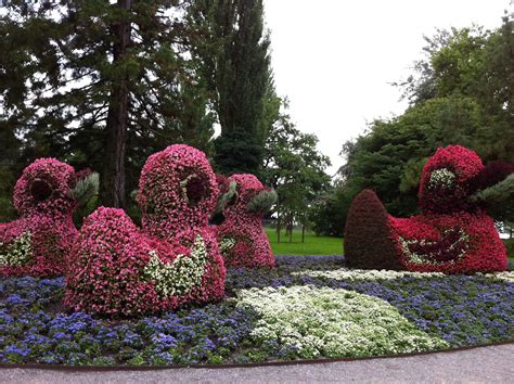 Insel Mainau, Bodensee | Insel mainau, Mainau island, Insel