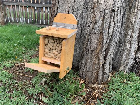 Squirrel Feeder with Lid Lift Mechanism Plans – King's Fine Woodworking Inc