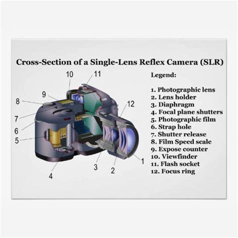 How Cameras Work ( Single-Lens Reflex) ~ PHOTOGRAPHER TIPS