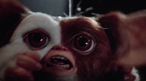 Gizmo scared 4 by Supecrossover on DeviantArt