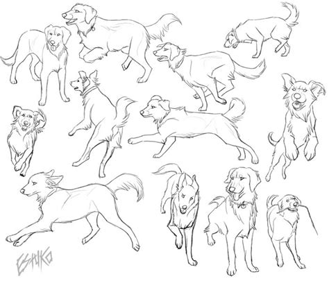 Ori - Golden Retriever Poses by Wolfvane14 on DeviantArt | Animal ...