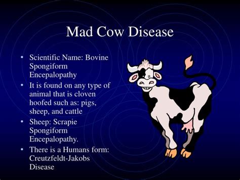 PPT - Mad Cow Disease PowerPoint Presentation - ID:6887242