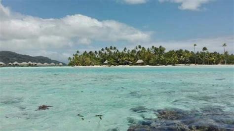 Coral Garden Tahaa (Patio) - 2021 All You Need to Know BEFORE You Go (with Photos) - Tripadvisor