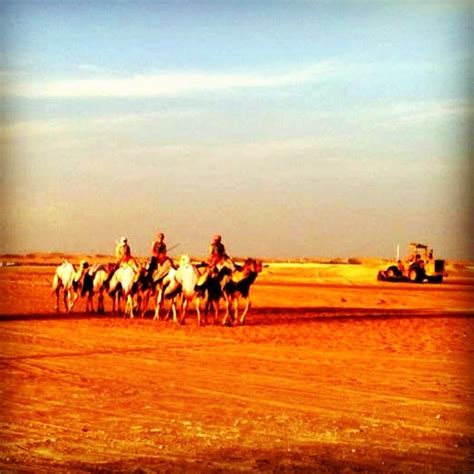 100 best images about The Rub' al Khali Desert on Pinterest | Resorts ...