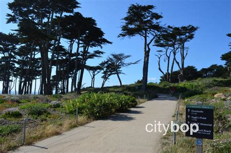 10 BEST Things to Do at Sutro Baths - CityBOP