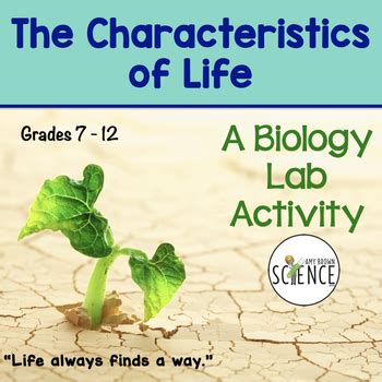 Biology Lab: Characteristics Of Life by Amy Brown Science | TpT