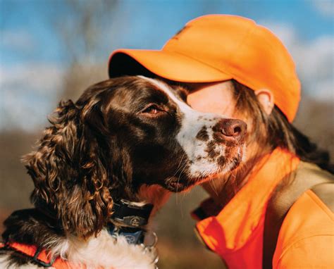 Hunting with Springer Spaniels Video - Project Upland Magazine