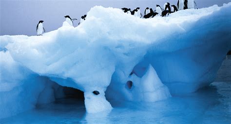 Visit Antarctica with Geodyssey on National Geographic Explorer