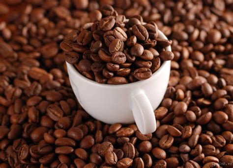 Arabica Coffee Beans - Buy Bulk Coffee Beans,Arabica Green Coffee Beans,Vietnam Arabica Green ...