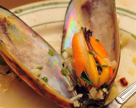 New Zealand green lipped mussel. | Food, Great recipes, Green lipped mussel