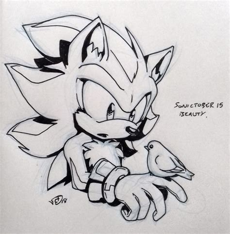 Shadow the hedgehog | Shadow the hedgehog, Hedgehog art, Sonic and shadow