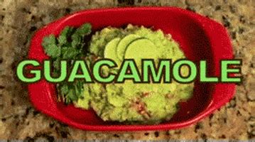 Guacamole GIFs - Find & Share on GIPHY