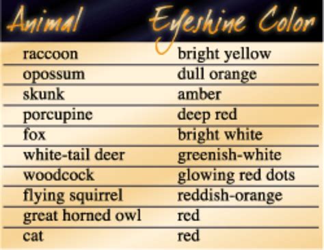 Identification Animal Eye Shine Chart - Animal Mania