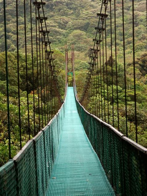 4 Cool Hanging Bridges Monteverde You Need to Visit (2024)